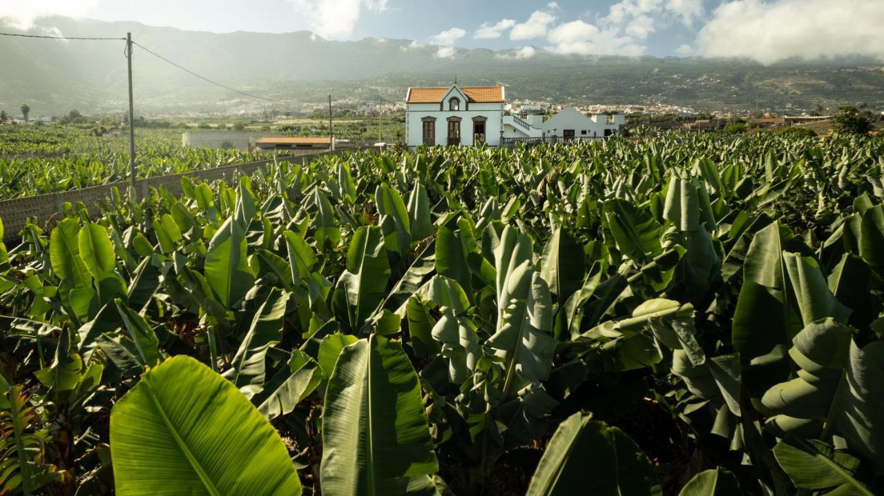 Hacienda Los Orovales Puerto de la Cruz  Extérieur photo