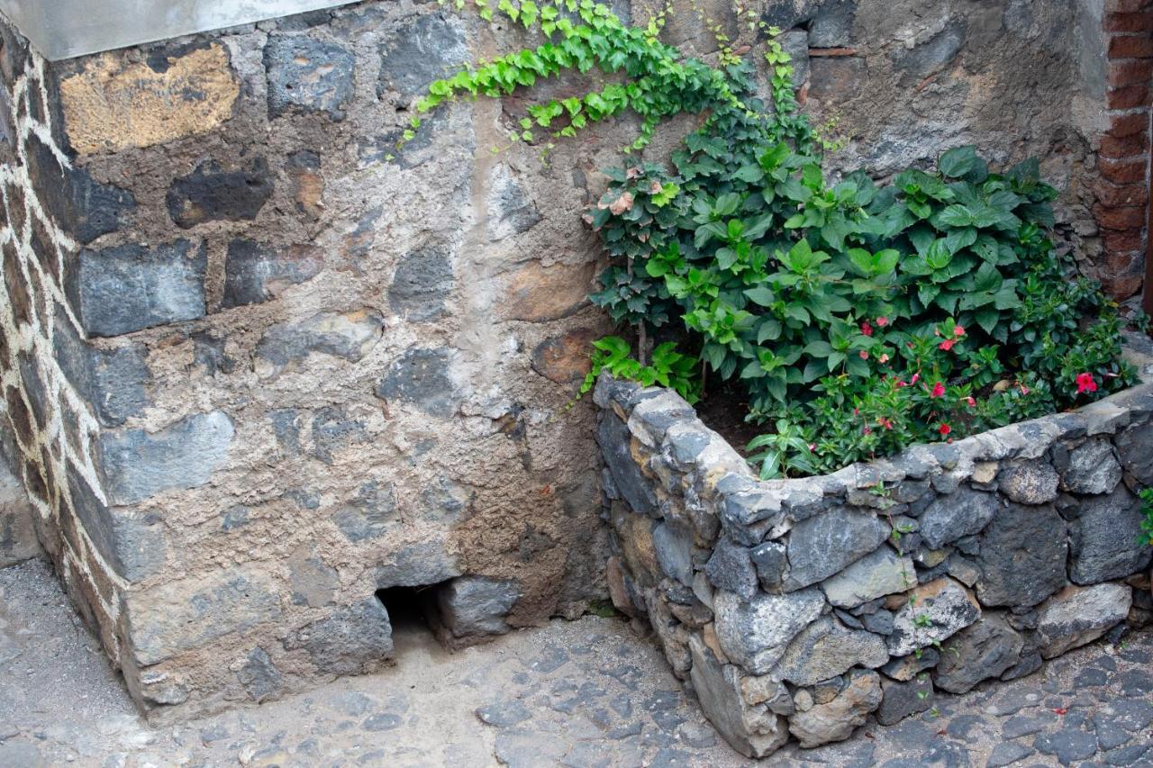Hacienda Los Orovales Puerto de la Cruz  Extérieur photo